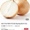 국내산 햇양파 중 1.5kg