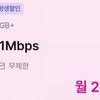 LG망 알뜰폰 5GB+1Mbps 통문무 평생요금제