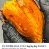햇 호박고구마 밤고구마 1.5kg 특상