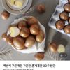 구운란 중란 30구 X 2판