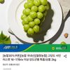 샤인머스켓 2kg 4수 특품