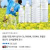 (광동 직영) 제주 삼다수 2L 24개