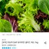 유러피안 채소 1kg(3-6종)