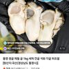 통영 횟감 생굴 1kg (네멤)