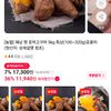 해남 햇 호박고구마 5kg 특상(100~320g)