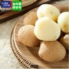 수미감자 대 2kg